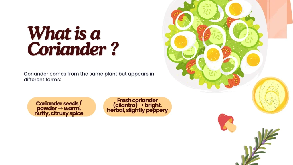 Best Substitutes for Coriander Seeds & Powder