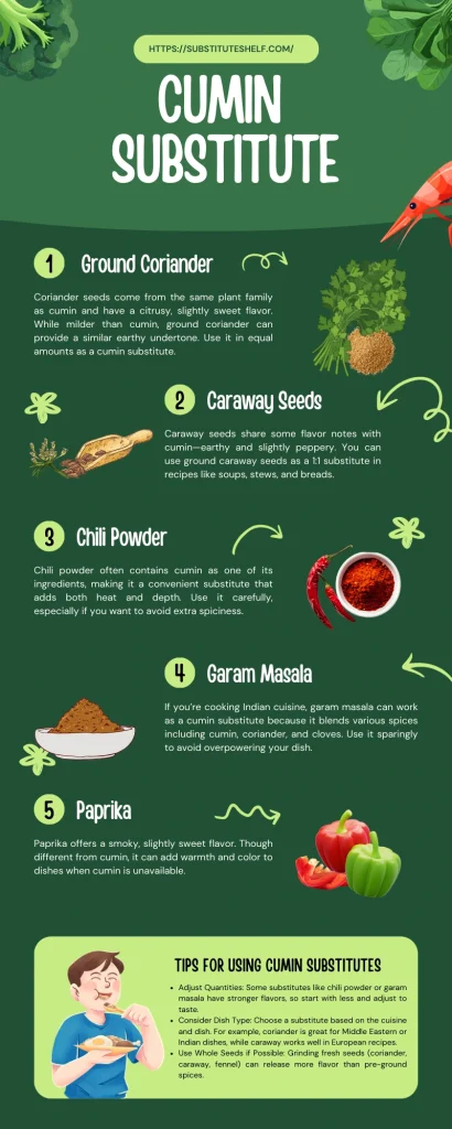 Cumin Substitute Best Alternatives for Cumin and Cumin Powder