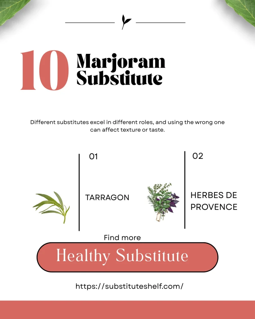 Marjoram Substitute Best Alternatives for Cooking and Flavor
