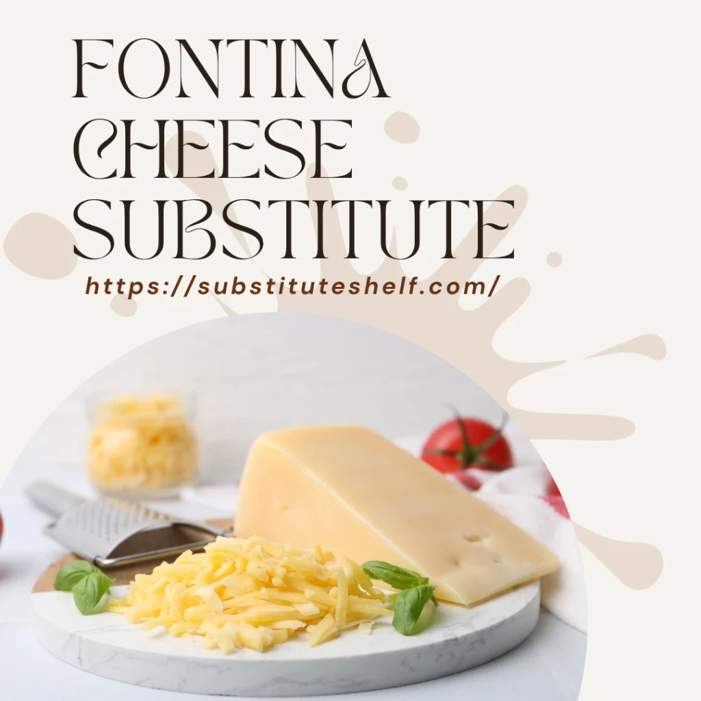 Fontina Cheese Substitute: 10 Best Alternatives for Pasta, Pizza & Fondue