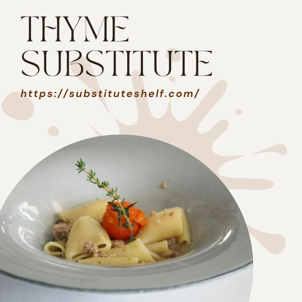 Thyme Substitute Best Alternatives for Every Dish