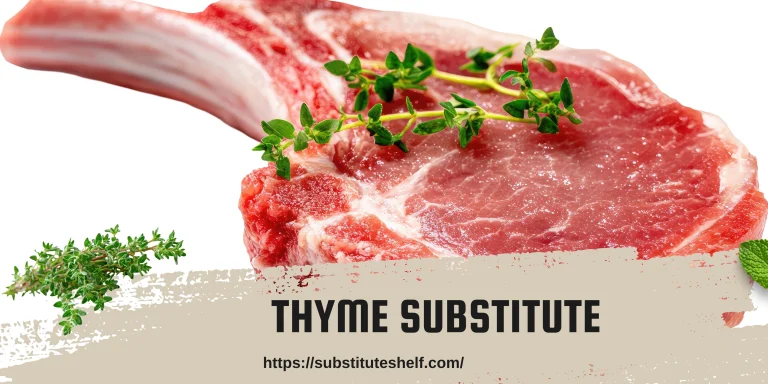 Thyme Substitute Best Alternatives for Every Dish